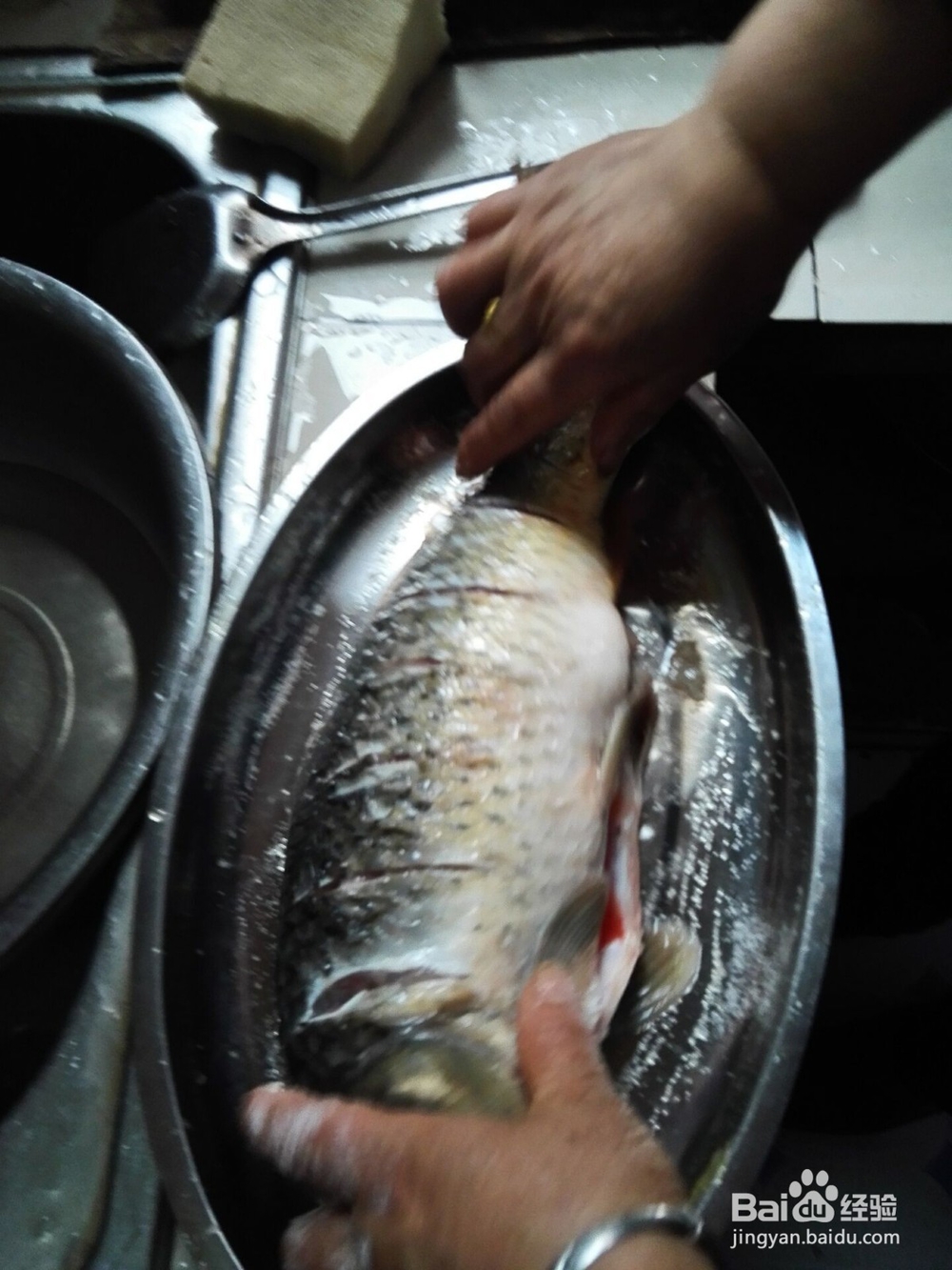 红烧鲤鱼——自创家常菜