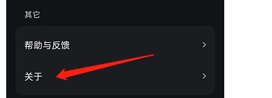 波点音乐如何查看软件版本?