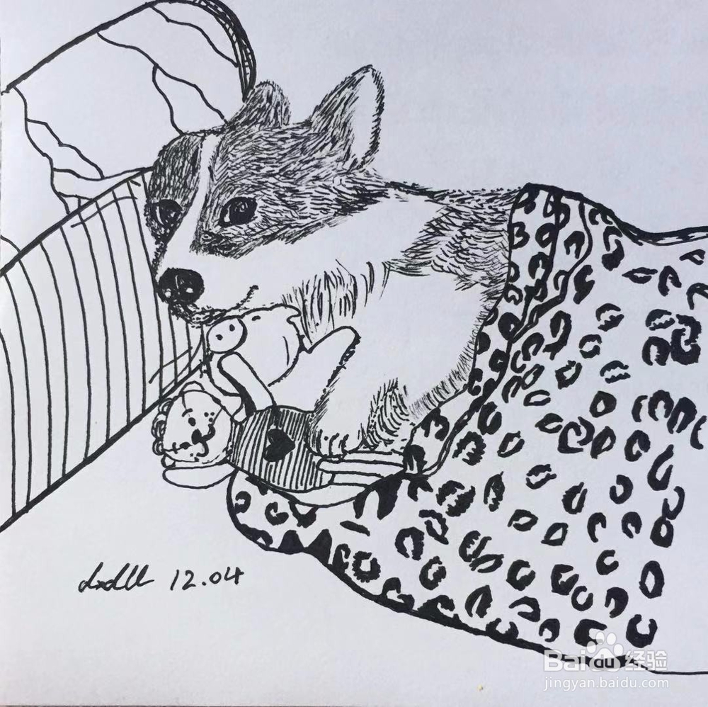 茉莉手绘之萌宠柯基