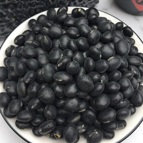 黑五类杂粮是哪五类