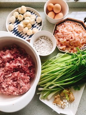 保健养生馄饨馅（鲜虾馄饨）