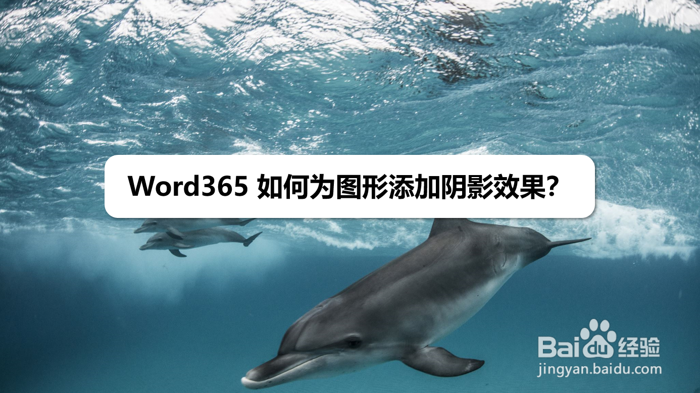 Word365 如何为图形添加阴影效果