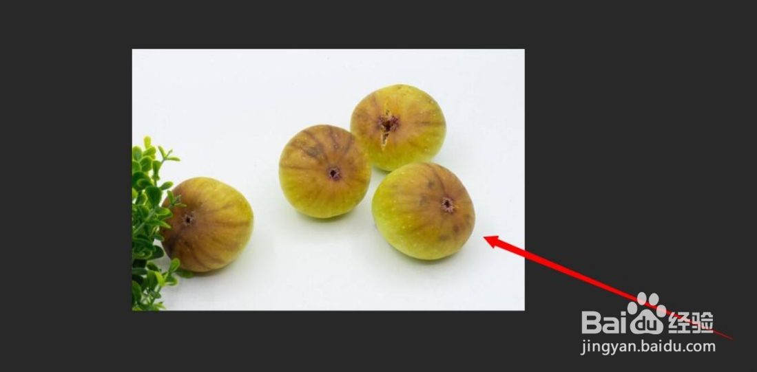 PS怎么使用计数工具