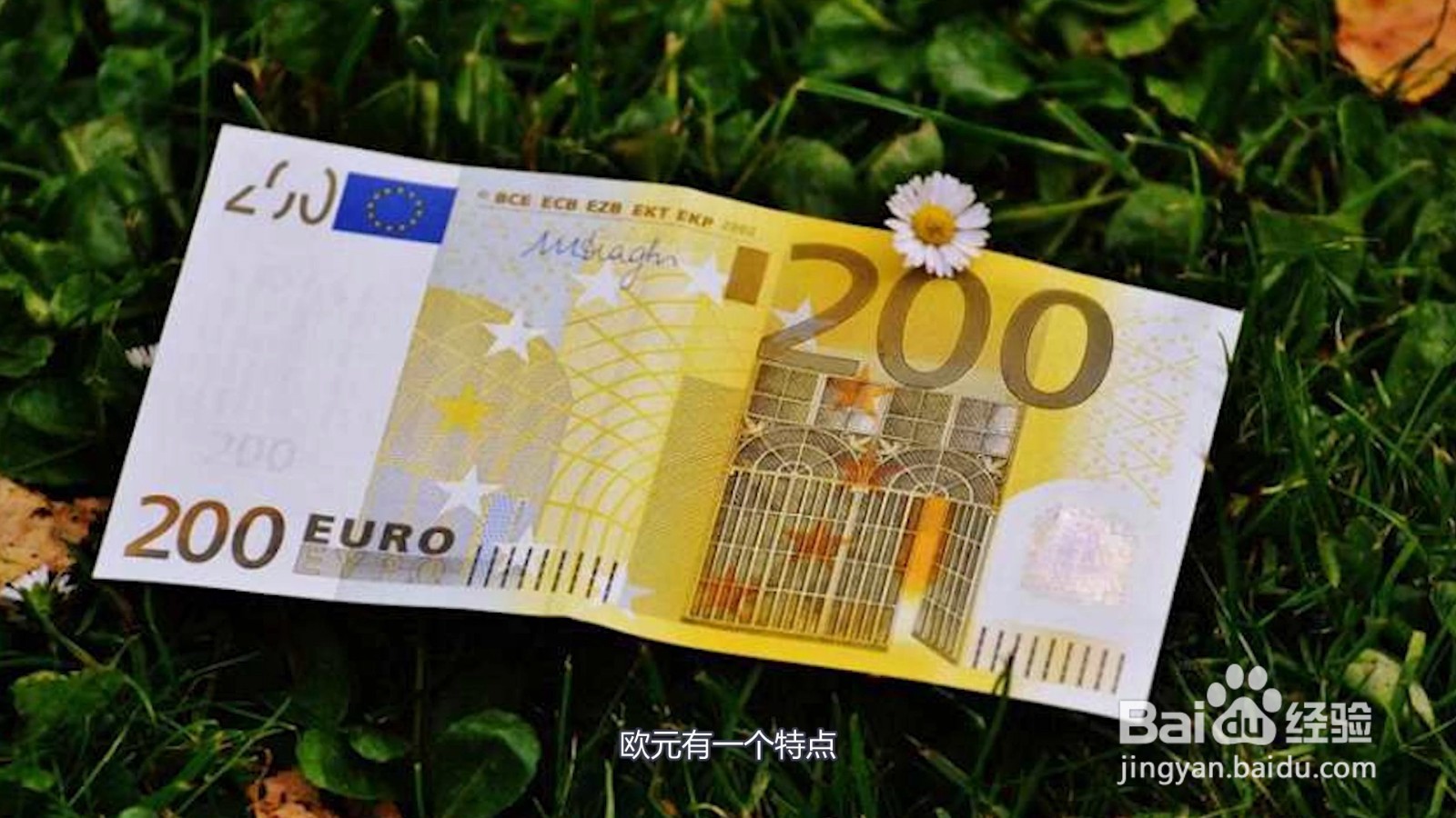 euro是什么国家的钱币