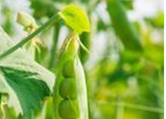 那些对你有帮助的生活小常识。