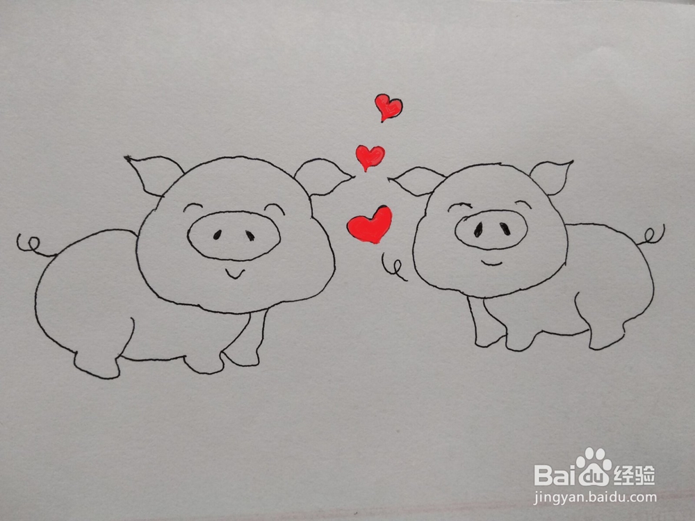 猪年爱心猪简笔画方法