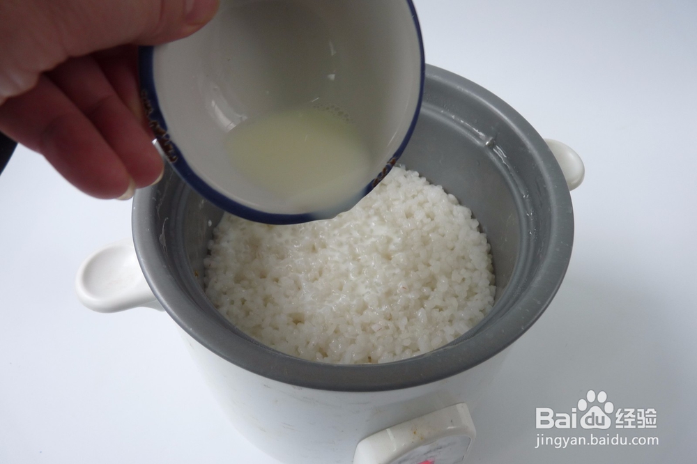 美味开胃的水果饭布丁