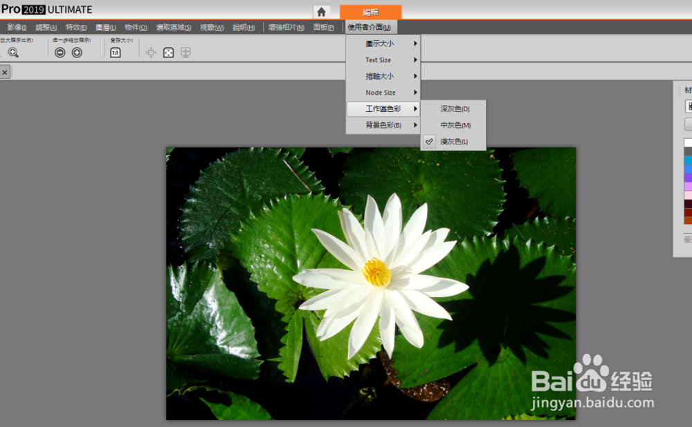PaintShop Pro2019界面设置