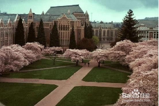 美国公司年审Annual Report的深度介绍