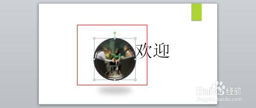 如何插入图片应用“棱台形椭圆,黑色”样式