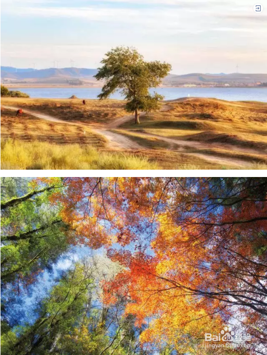 秋季如何拍出好照片？看完这篇文章你就全懂了！
