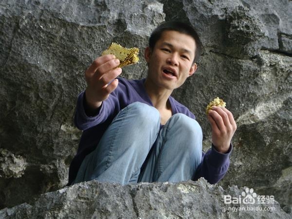 什么季节的野生蜂蜜最好