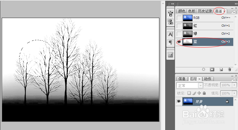 如何运用Photoshop调整图像色彩