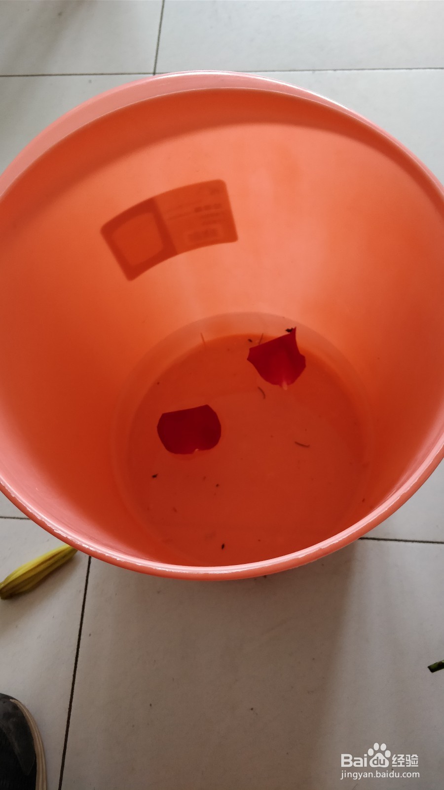 包好的鲜花怎么让它慢点枯萎 鲜花凋谢慢点
