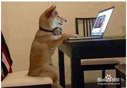 过年值班干点什么好？