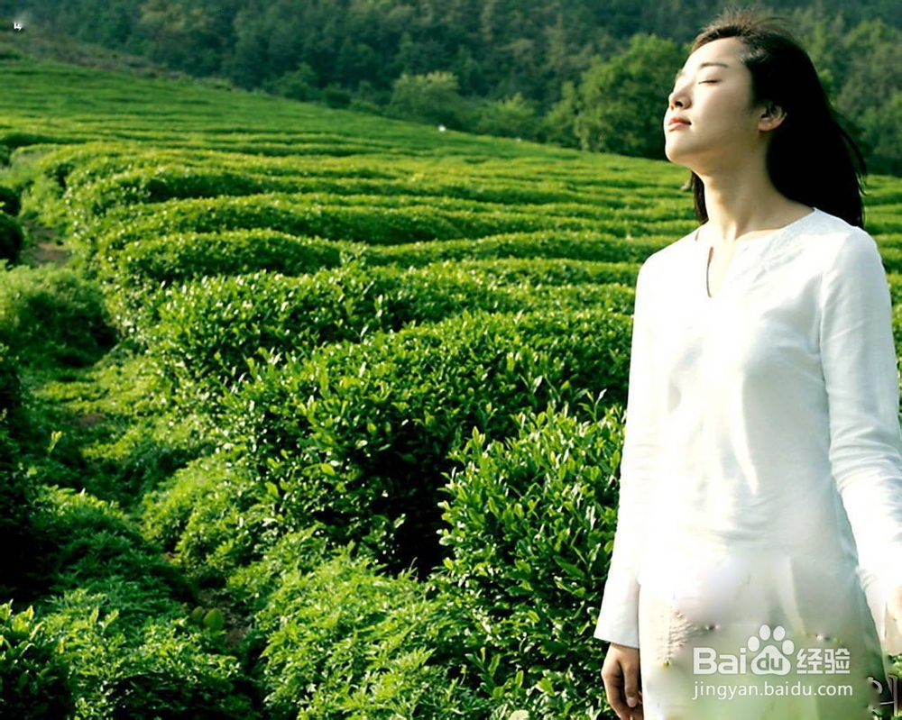 怎么减去肚子上的肉