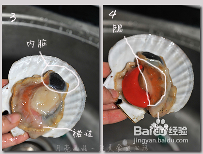 嗞啦一声的美味——蒜蓉粉丝蒸扇贝