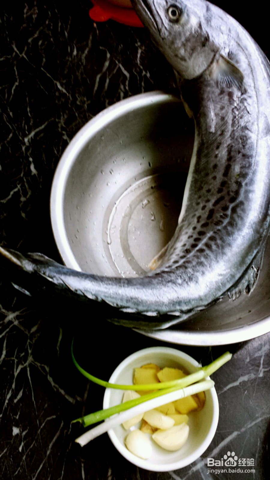香煎马鲛鱼的做法