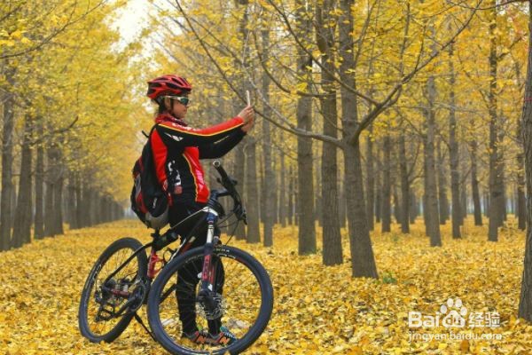 怎样减肚子才科学