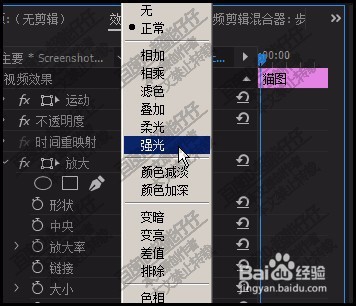 pr中如何把猫咪两只眼睛变亮
