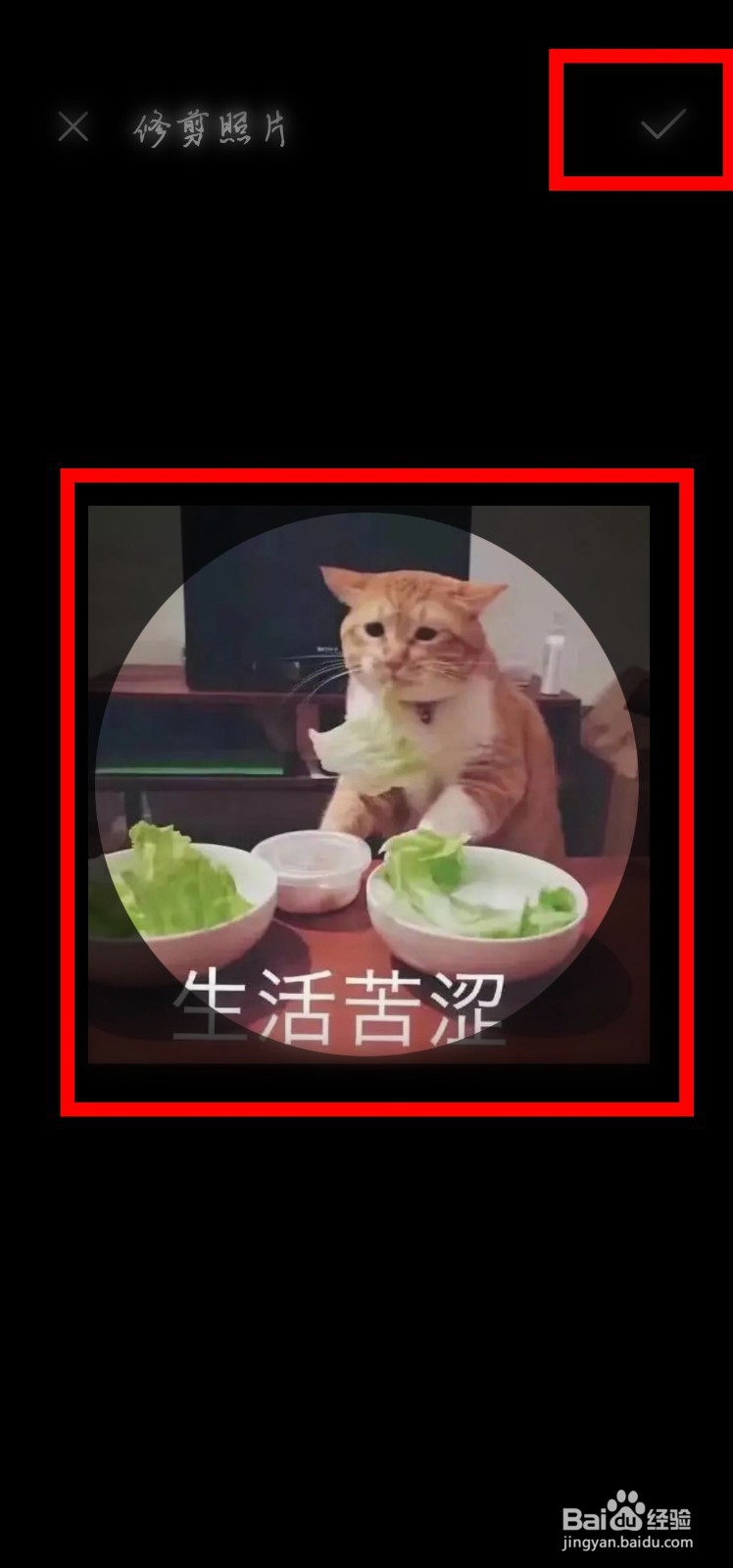 美团怎么给自己设置头像？