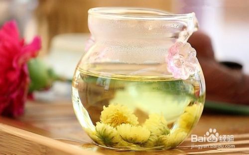 感冒可以喝菊花茶吗 百度经验