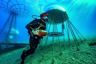 如何成为国家地理摄影师