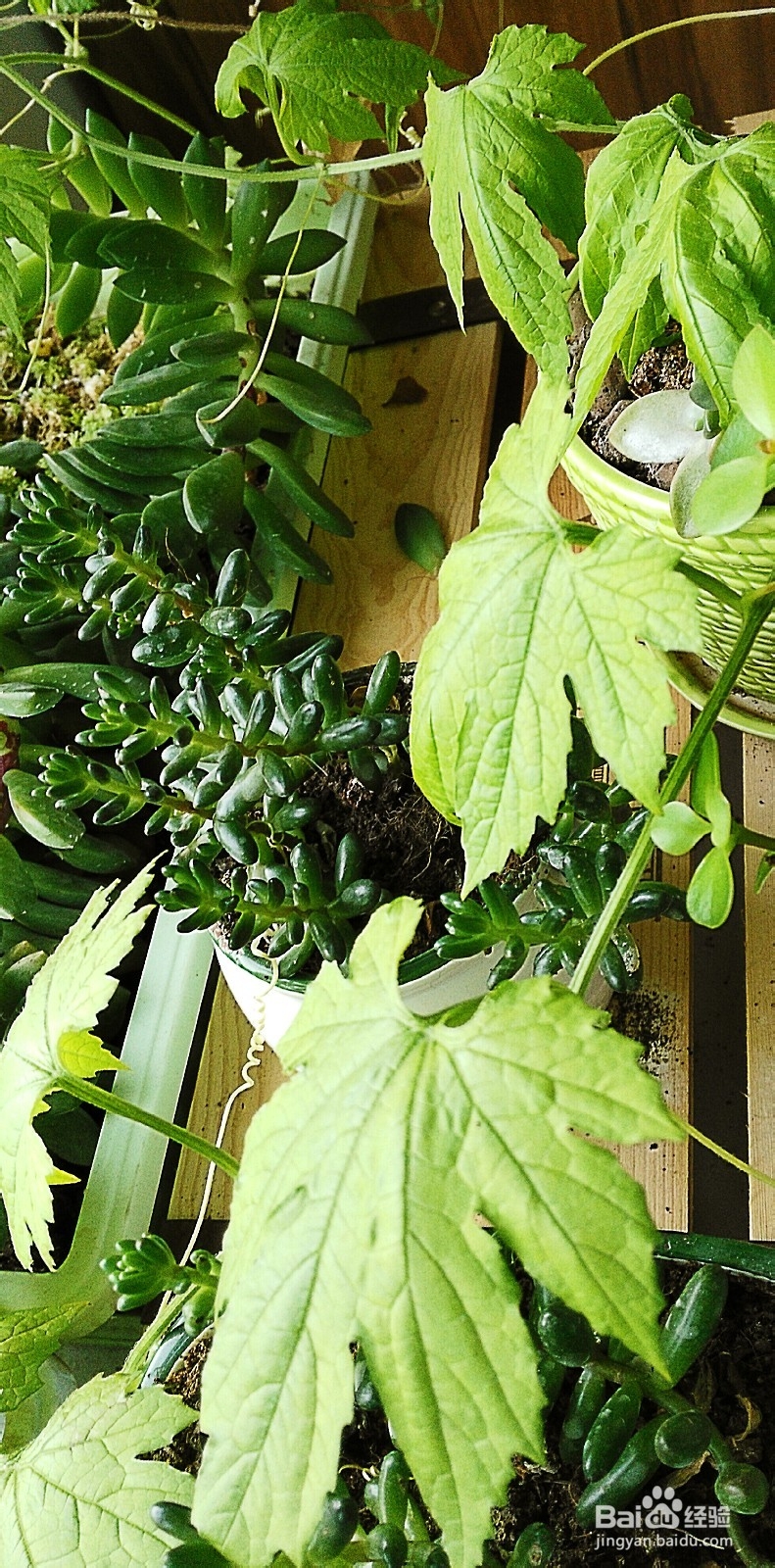 开启新生活之感慨分享