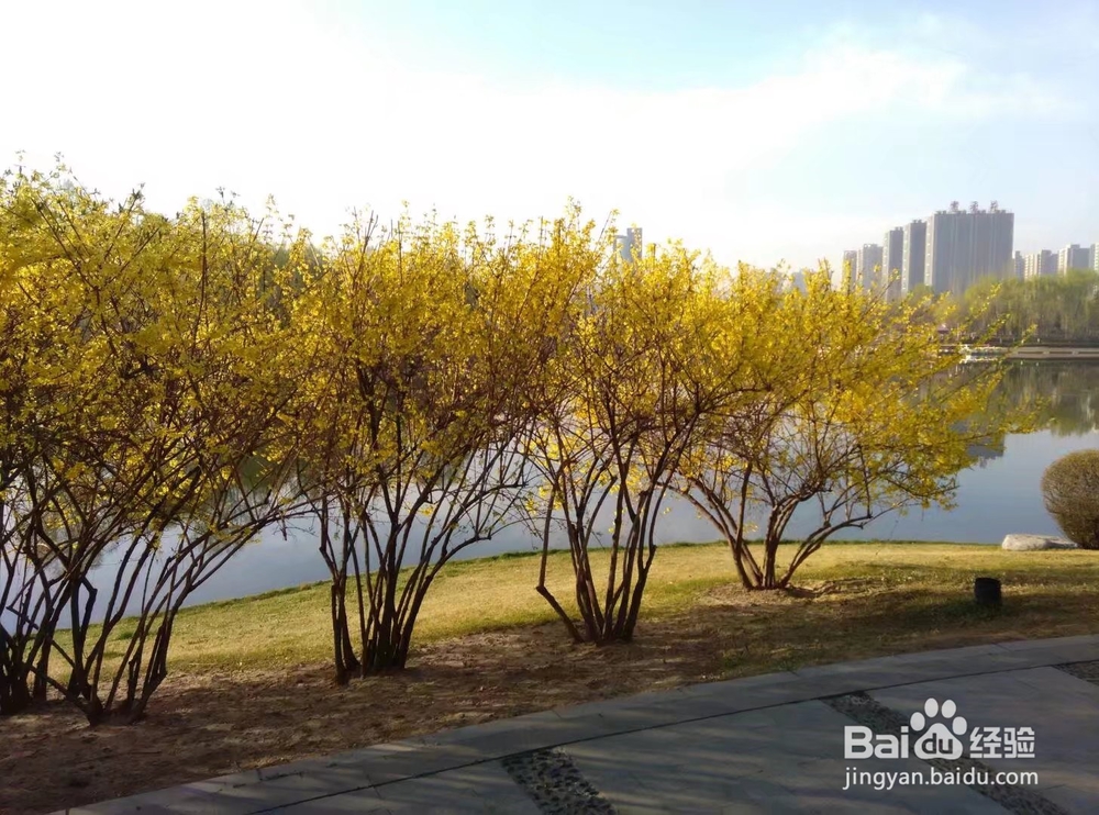 【校园指南】山西建筑职业技术学院操场运动攻略