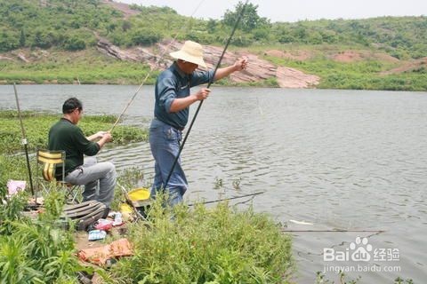 夏季钓鱼技术