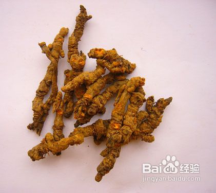 雅安地震之雅安回忆