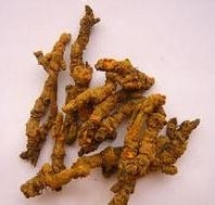 偏方让你远离疾病：[15]治慢性胃病