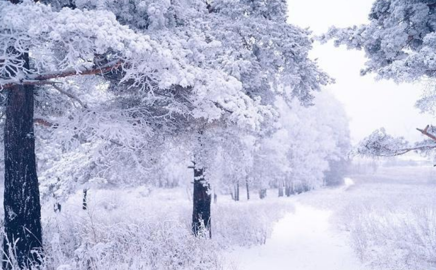 文言文《雪》翻译