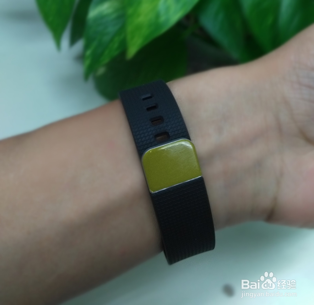 埃微高颜值蛋卷心率手环开箱晒物