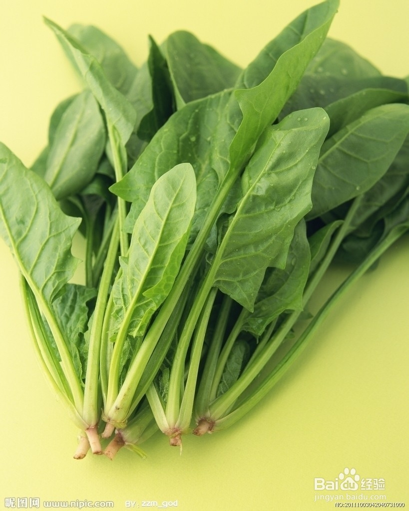 准妈妈适宜吃的五种蔬菜？