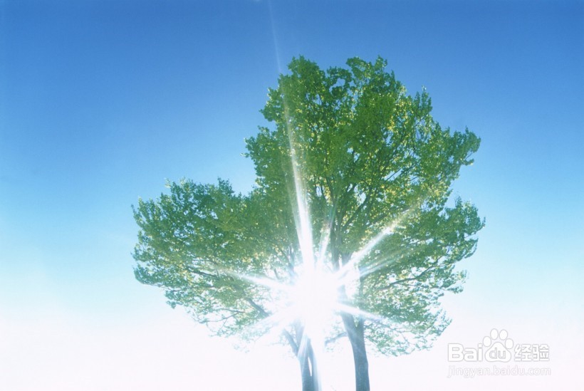怎样去除新衣物上的异味