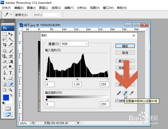 Photoshop怎么调整图像的色阶
