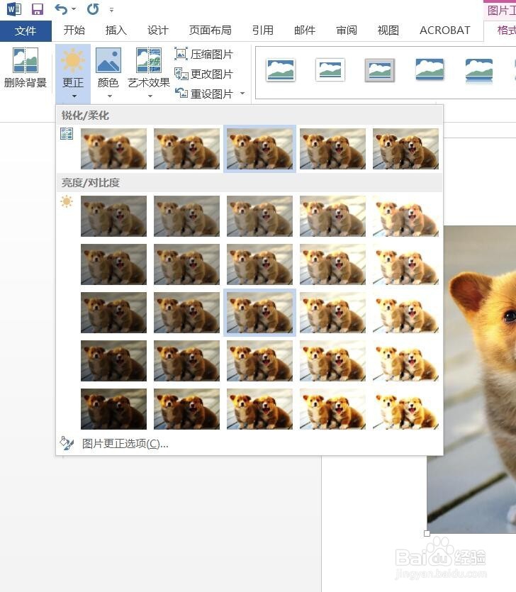 Word2016怎样调整插入图片的亮度