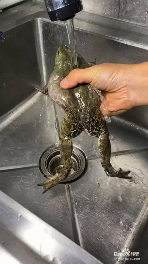 如何制作东北香辣砂锅牛蛙?