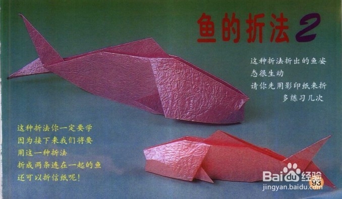 星座折纸教程--双鱼座