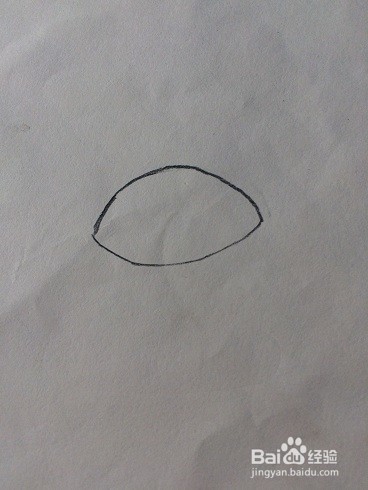 甲鱼的简笔画