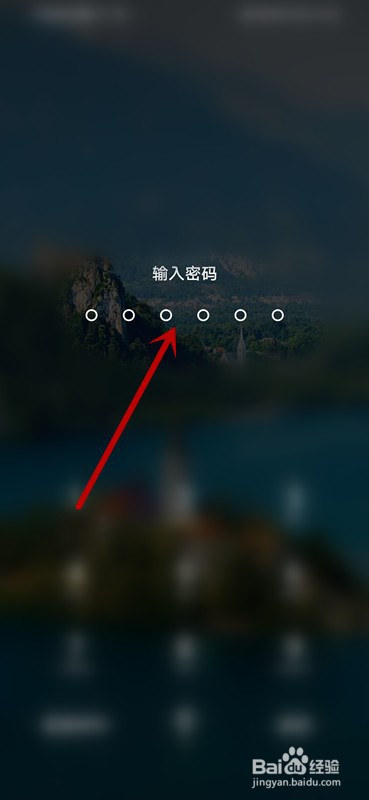如何查看美团账户的隐私政策？