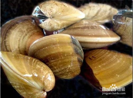花蛤好吃还是文蛤好吃