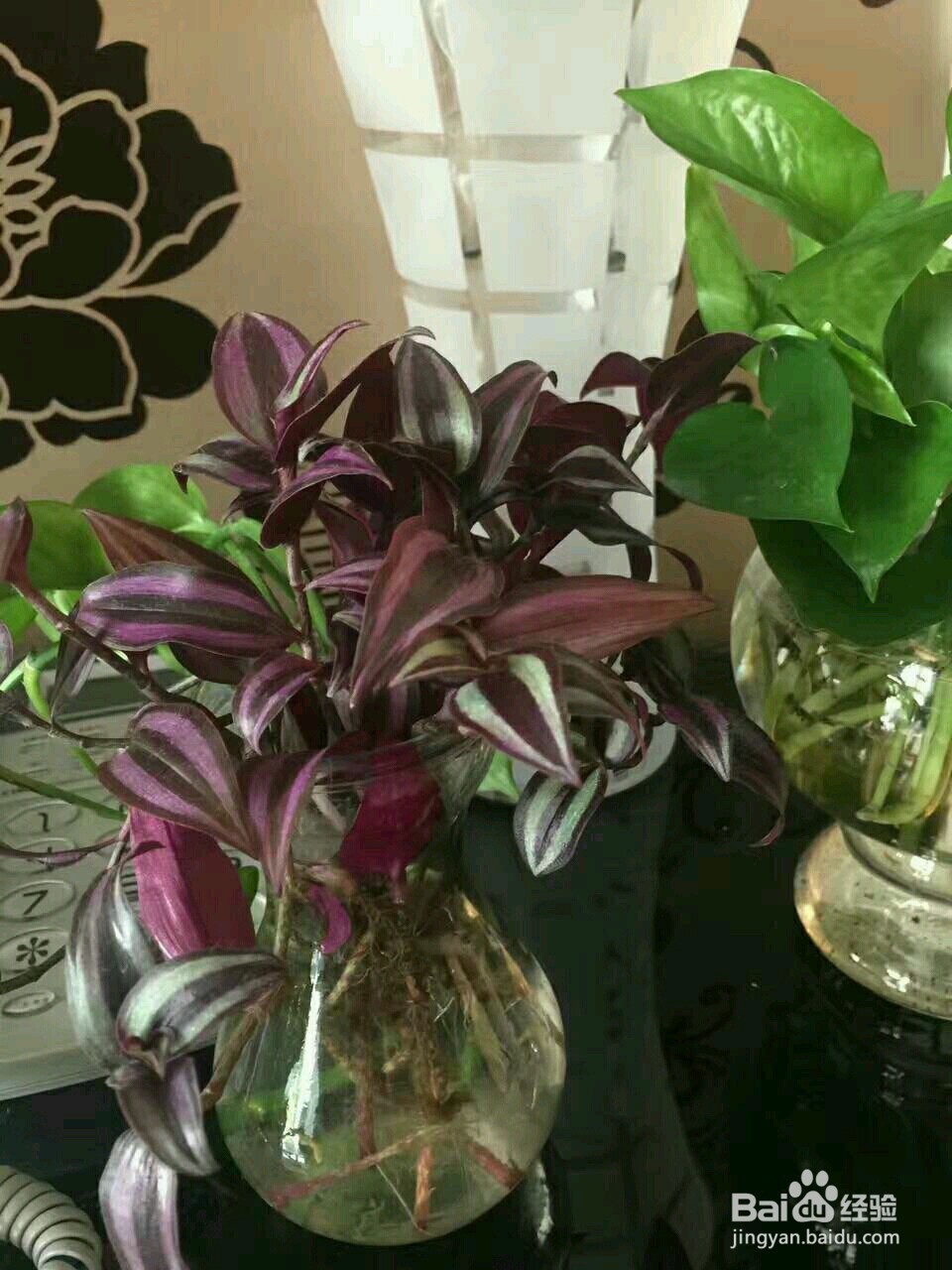 小口坛子如何改成花盆