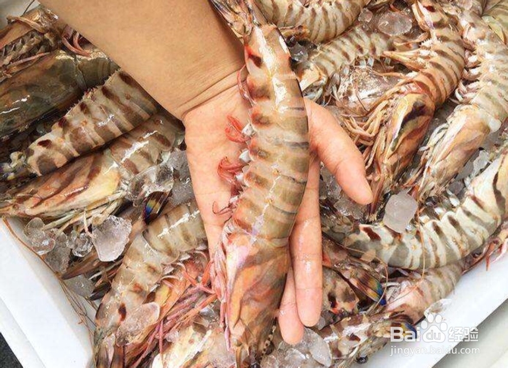 过年时我们可以选购哪些海鲜作为年货