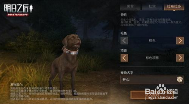 明日之后新币攻略