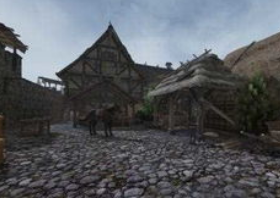 领地人生：MMO》新手村毕业心得