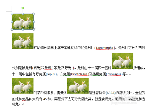 word2010教程之怎么把文字替换成图片