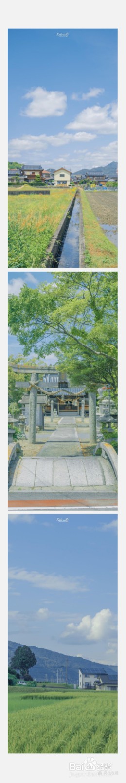 苹果手机怎样截长图的两种方法