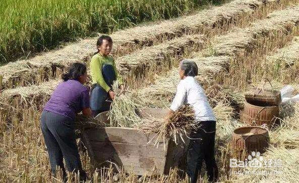 如何才能理解父母?